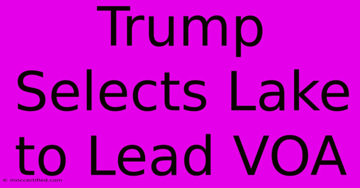 Trump Selects Lake To Lead VOA