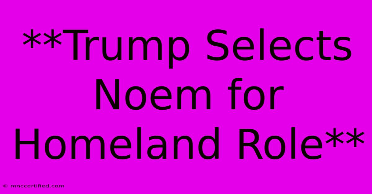 **Trump Selects Noem For Homeland Role**