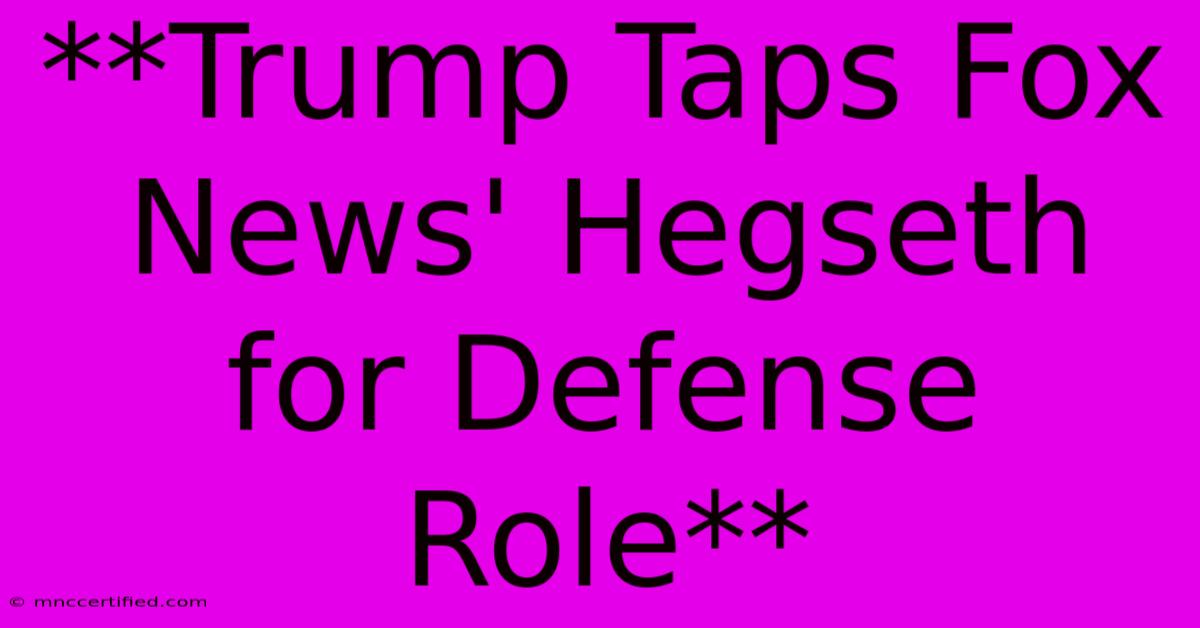 **Trump Taps Fox News' Hegseth For Defense Role**