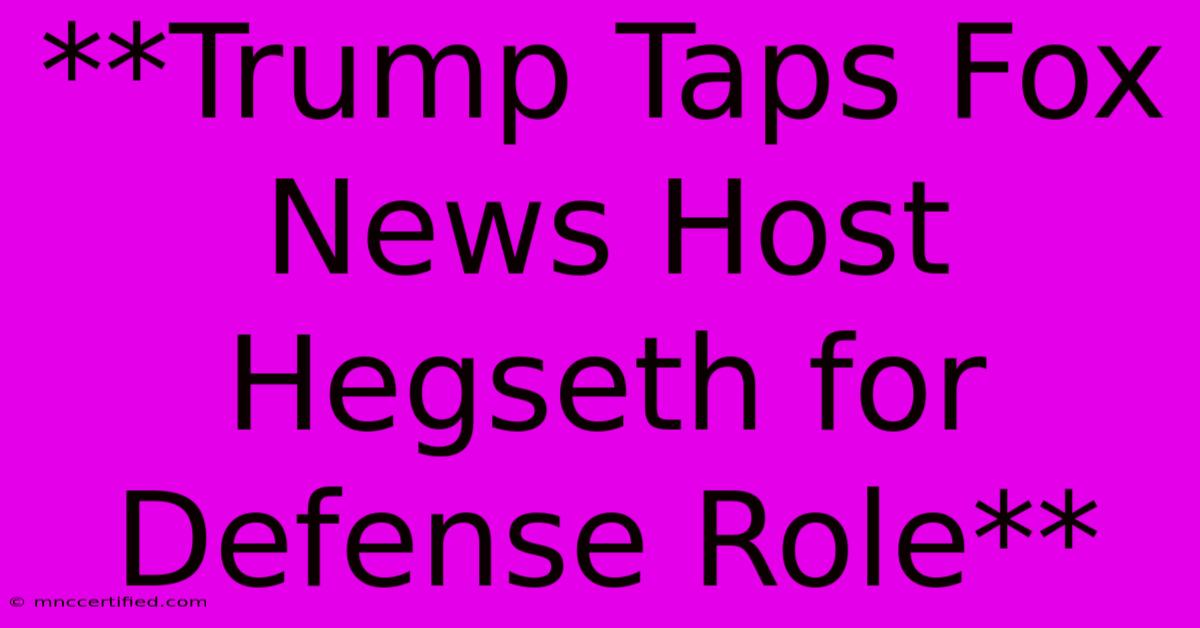 **Trump Taps Fox News Host Hegseth For Defense Role**