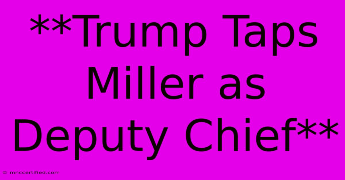 **Trump Taps Miller As Deputy Chief**