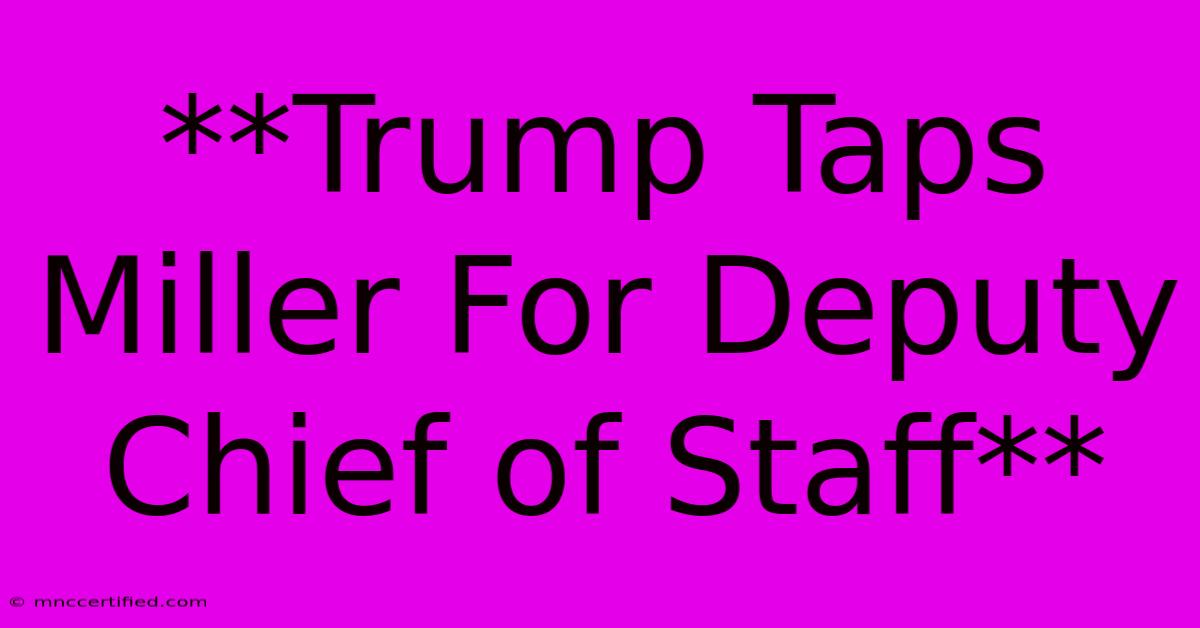 **Trump Taps Miller For Deputy Chief Of Staff**