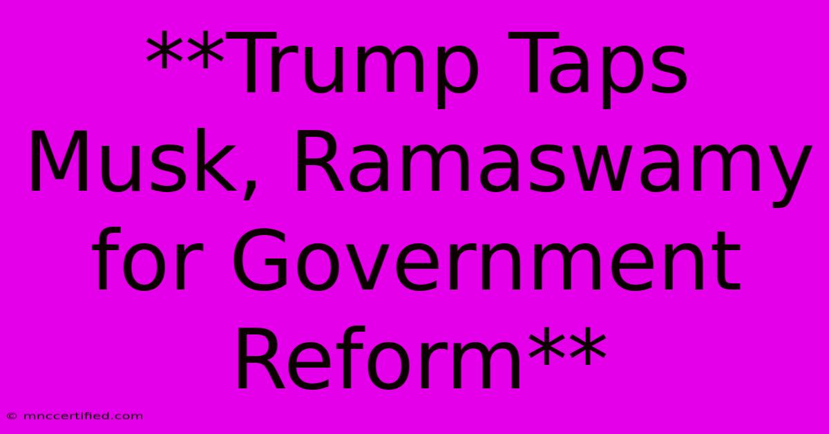 **Trump Taps Musk, Ramaswamy For Government Reform**