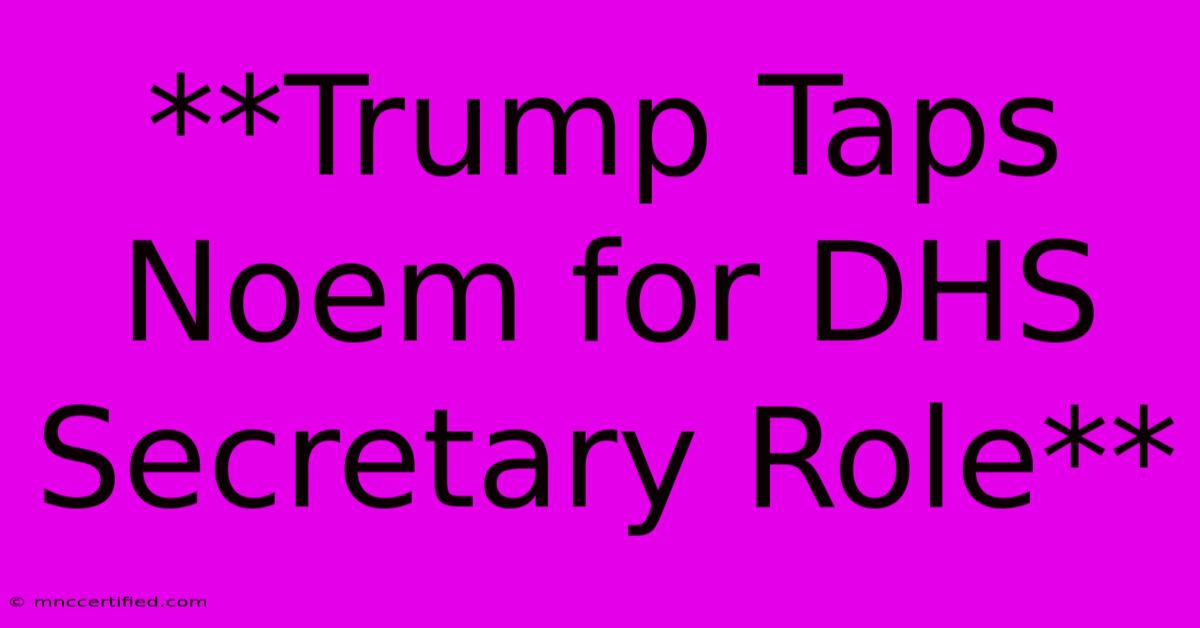 **Trump Taps Noem For DHS Secretary Role**