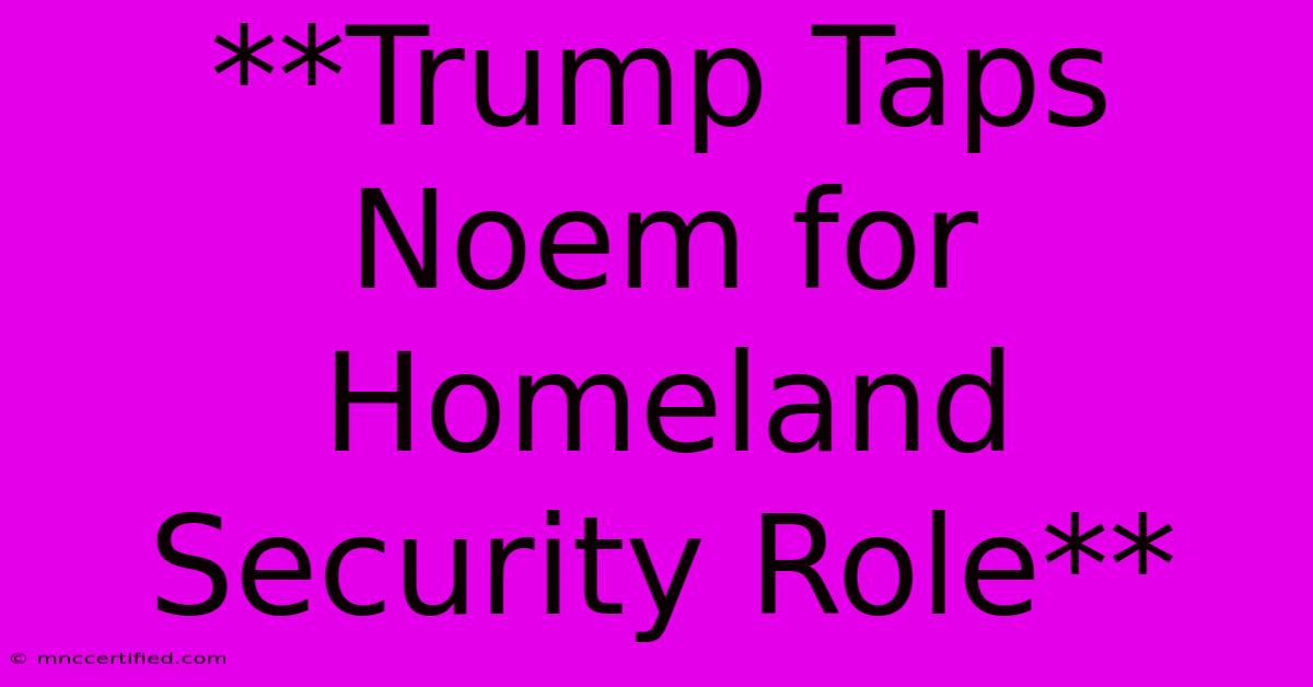 **Trump Taps Noem For Homeland Security Role**