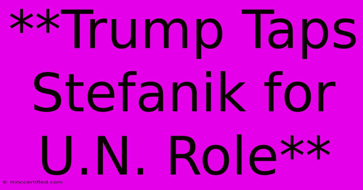 **Trump Taps Stefanik For U.N. Role**