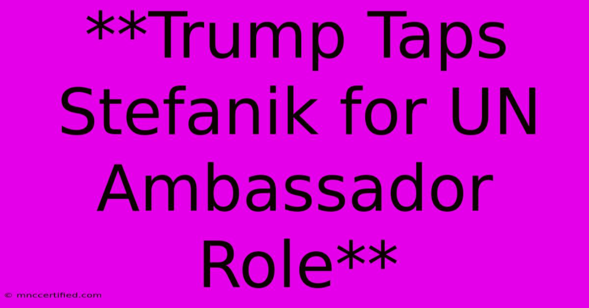 **Trump Taps Stefanik For UN Ambassador Role**