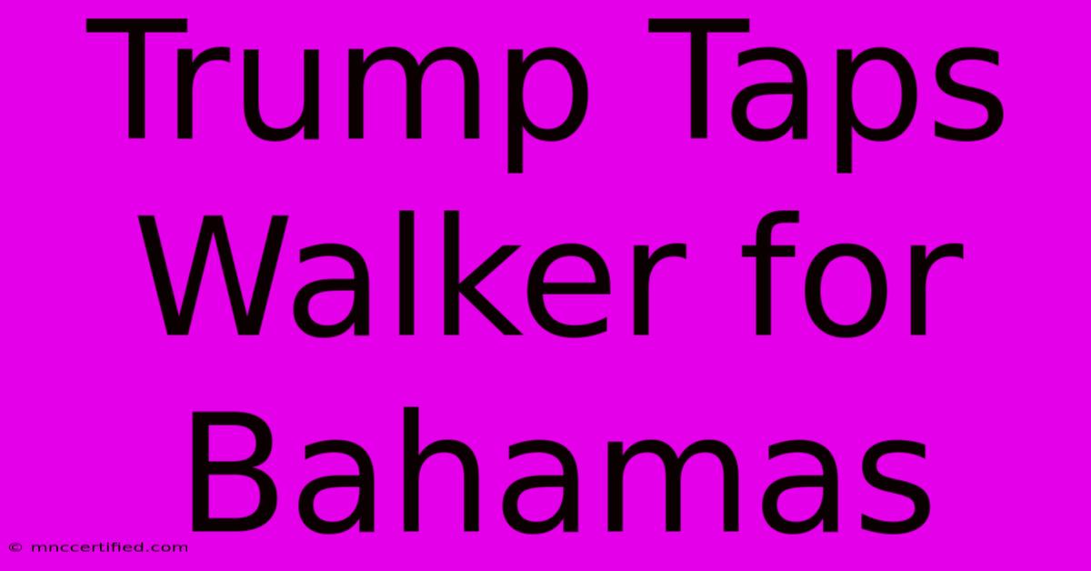 Trump Taps Walker For Bahamas