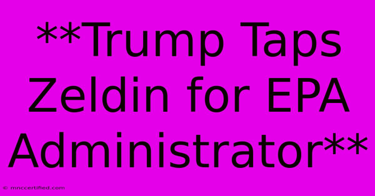 **Trump Taps Zeldin For EPA Administrator**