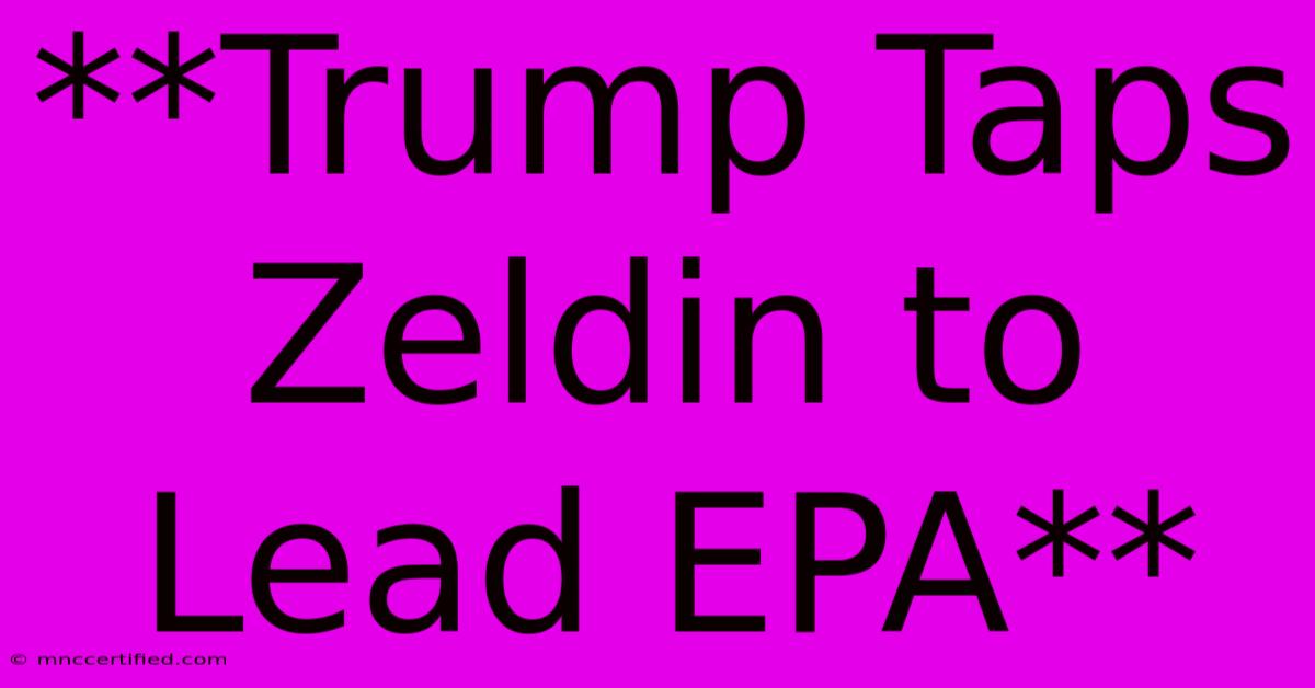 **Trump Taps Zeldin To Lead EPA**