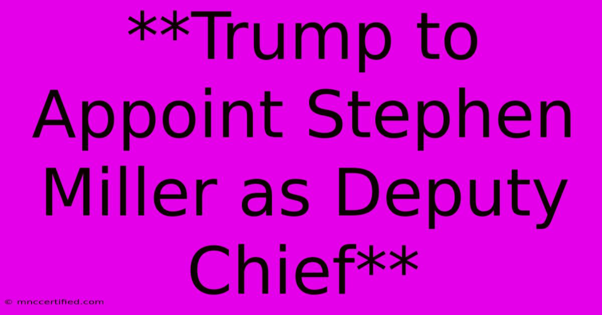 **Trump To Appoint Stephen Miller As Deputy Chief** 