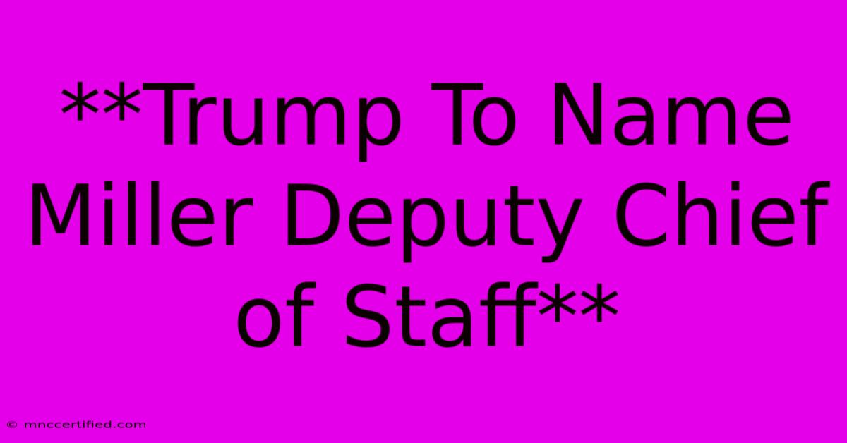 **Trump To Name Miller Deputy Chief Of Staff**