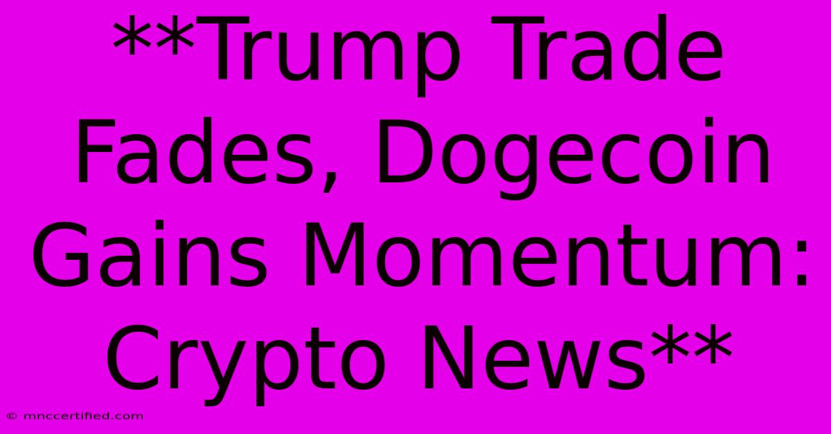 **Trump Trade Fades, Dogecoin Gains Momentum: Crypto News**