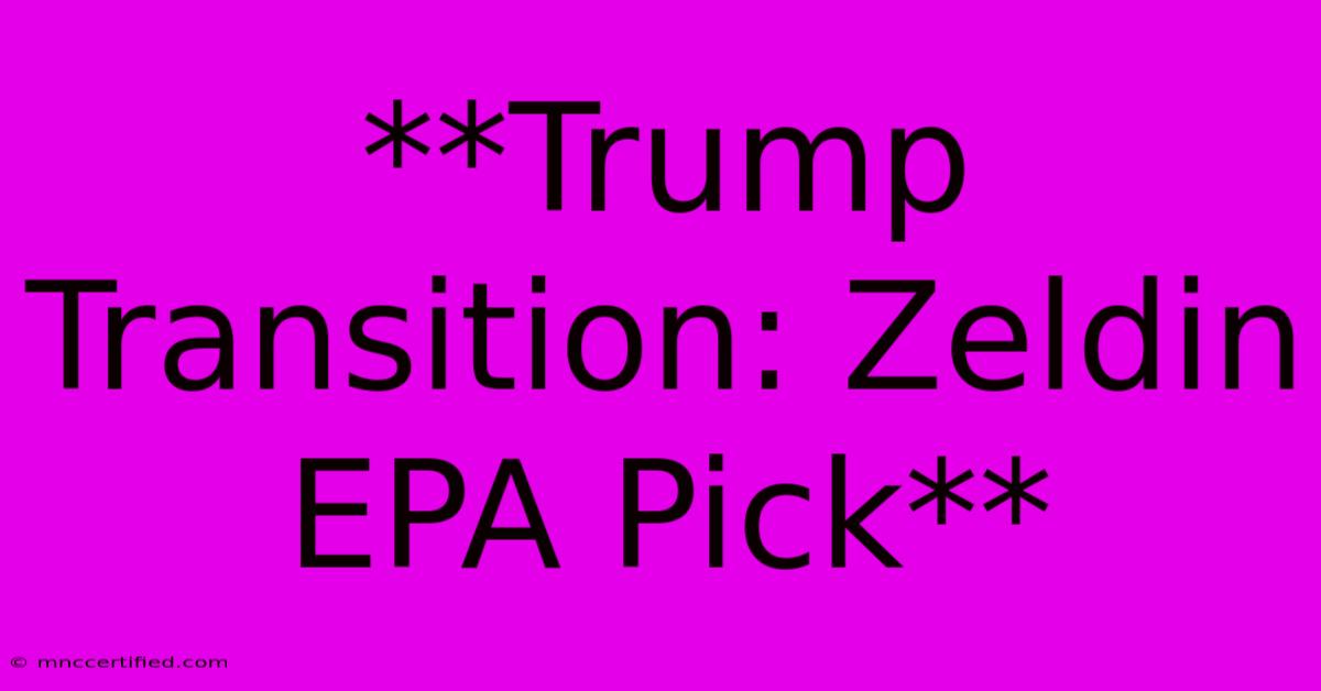 **Trump Transition: Zeldin EPA Pick** 