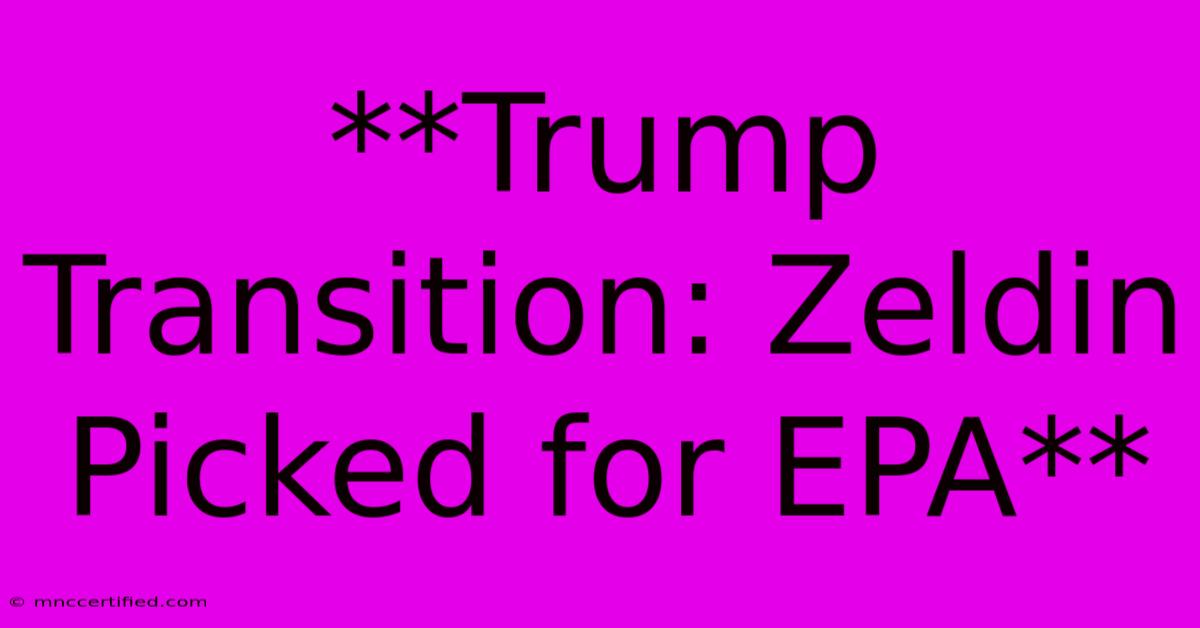 **Trump Transition: Zeldin Picked For EPA**