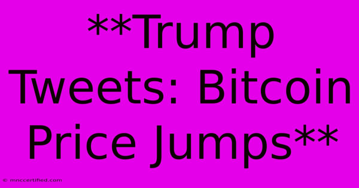 **Trump Tweets: Bitcoin Price Jumps**