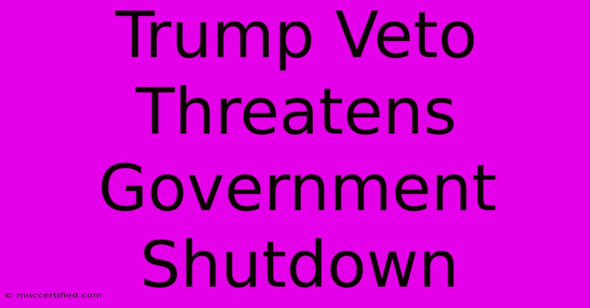 Trump Veto Threatens Government Shutdown