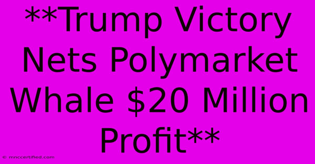 **Trump Victory Nets Polymarket Whale $20 Million Profit**