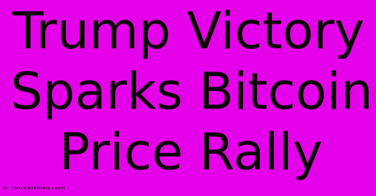 Trump Victory Sparks Bitcoin Price Rally 