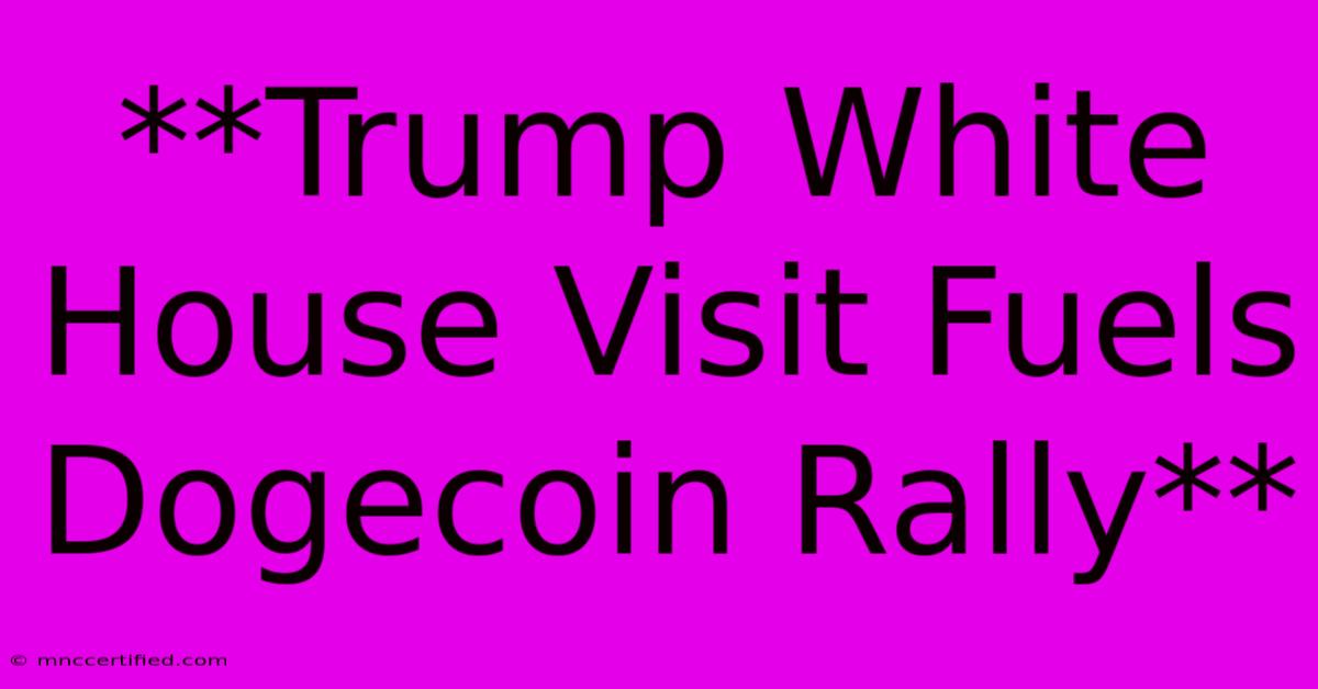 **Trump White House Visit Fuels Dogecoin Rally**