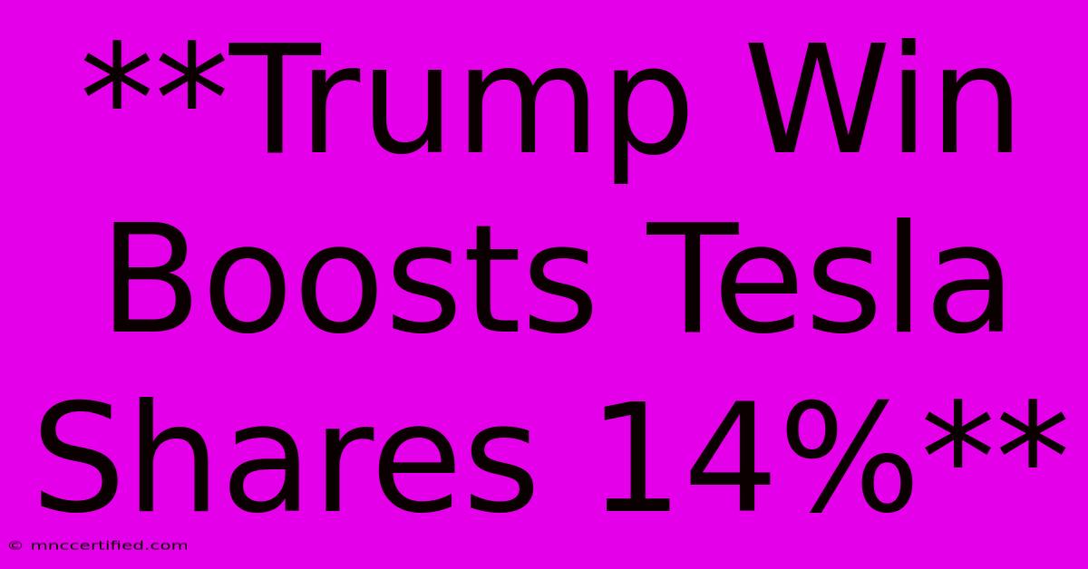 **Trump Win Boosts Tesla Shares 14%**