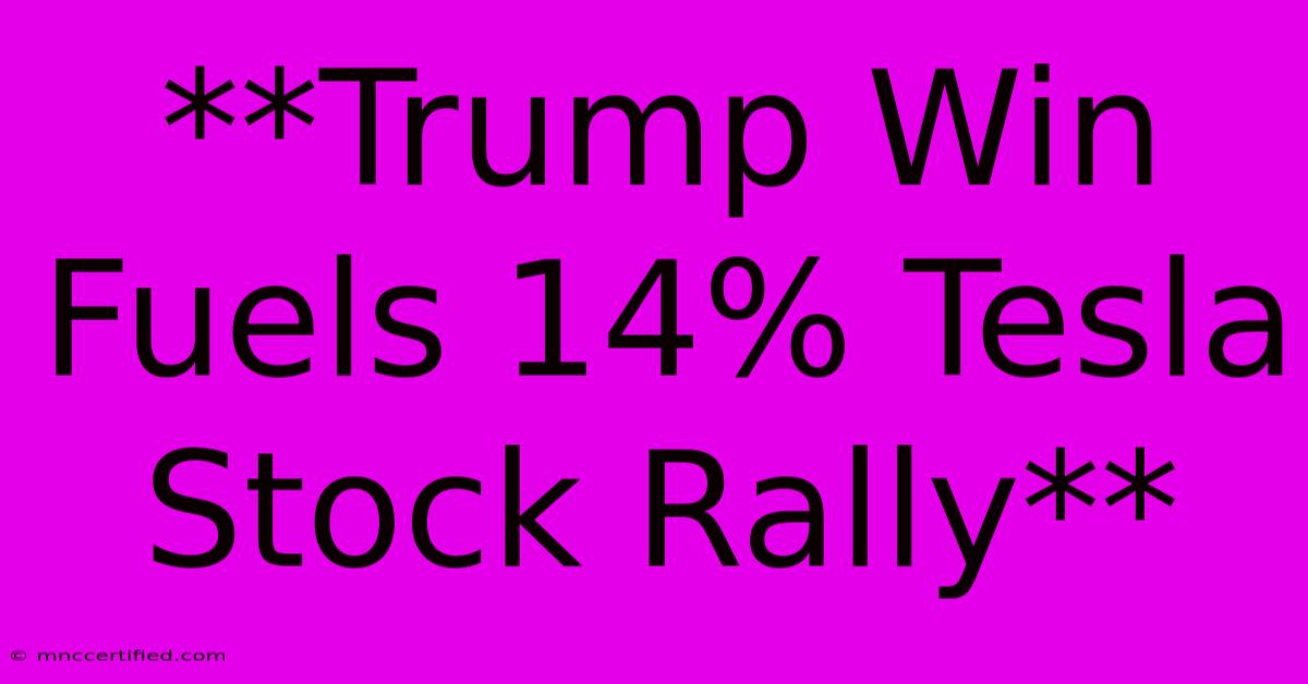 **Trump Win Fuels 14% Tesla Stock Rally** 