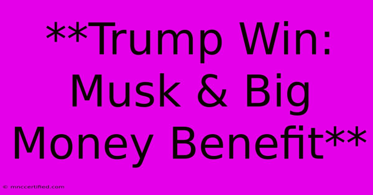 **Trump Win: Musk & Big Money Benefit**