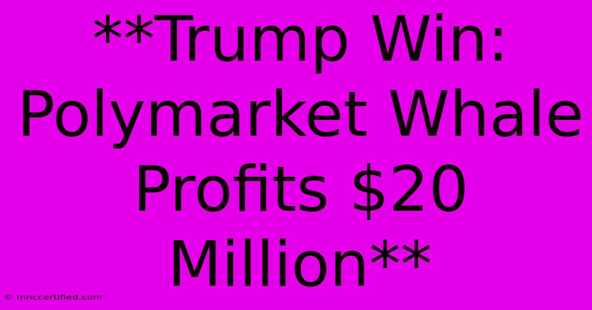 **Trump Win: Polymarket Whale Profits $20 Million** 