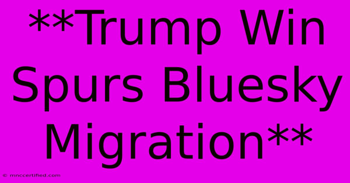 **Trump Win Spurs Bluesky Migration**