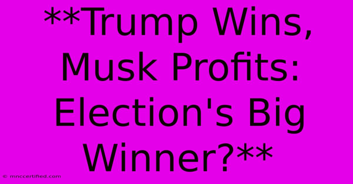 **Trump Wins, Musk Profits: Election's Big Winner?**