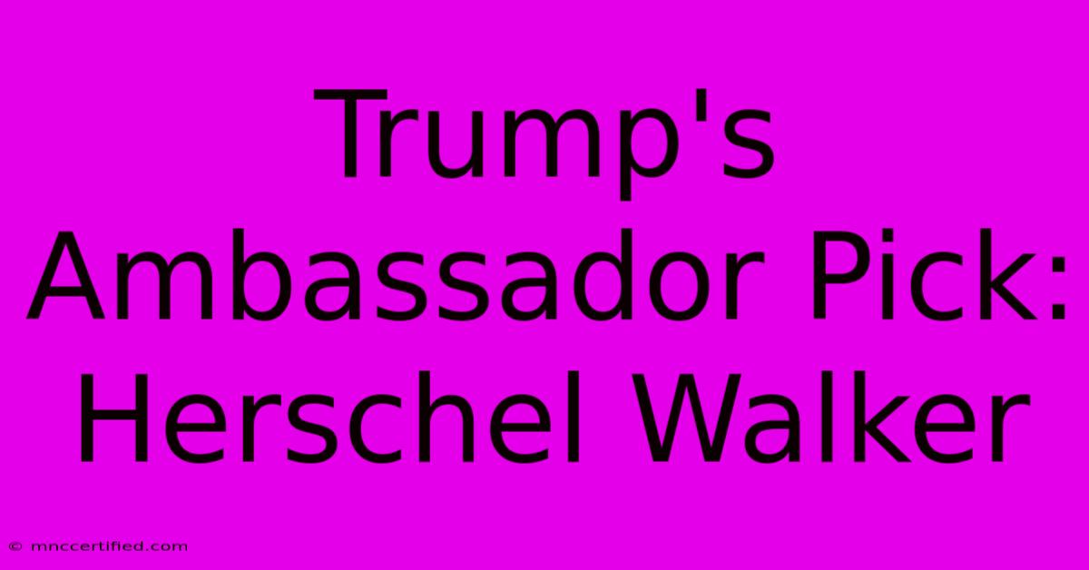 Trump's Ambassador Pick: Herschel Walker