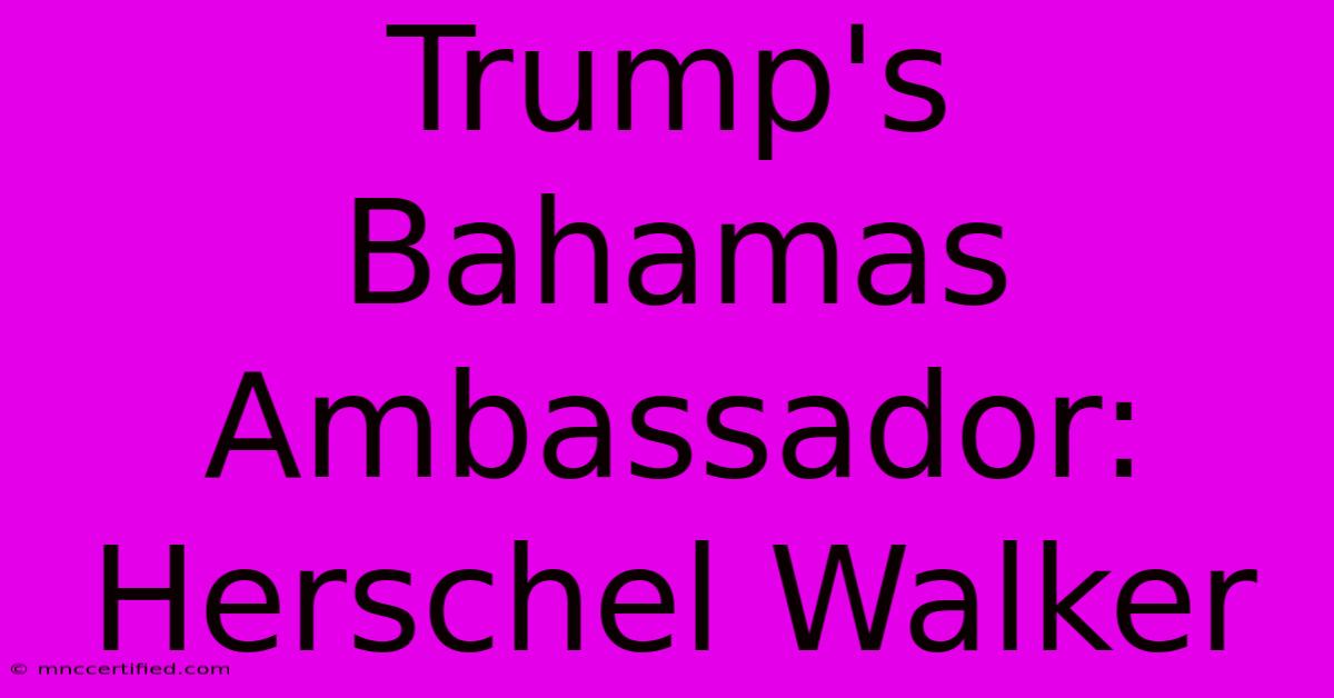 Trump's Bahamas Ambassador: Herschel Walker