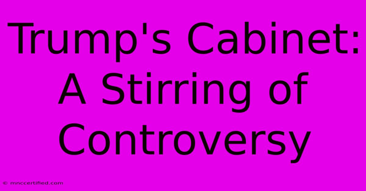 Trump's Cabinet: A Stirring Of Controversy 