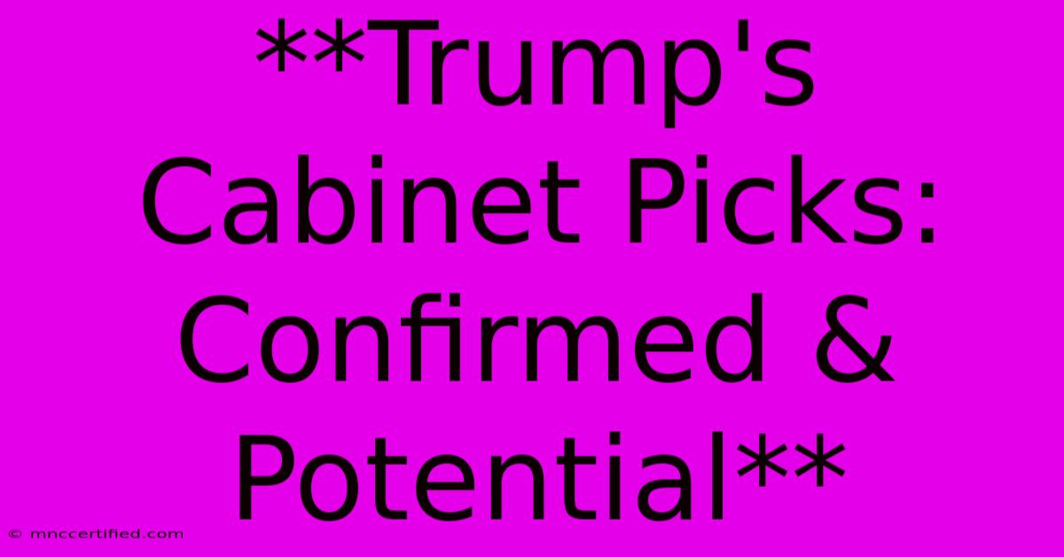 **Trump's Cabinet Picks: Confirmed & Potential**