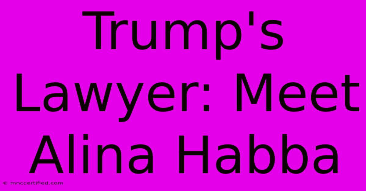 Trump's Lawyer: Meet Alina Habba