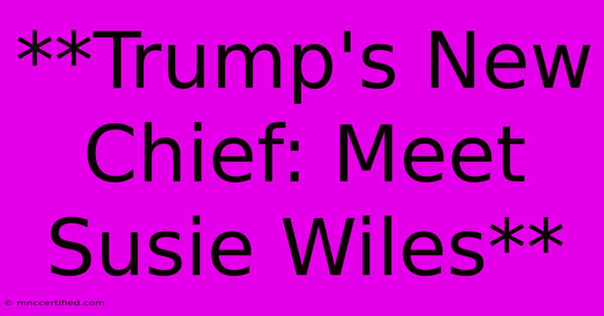 **Trump's New Chief: Meet Susie Wiles**