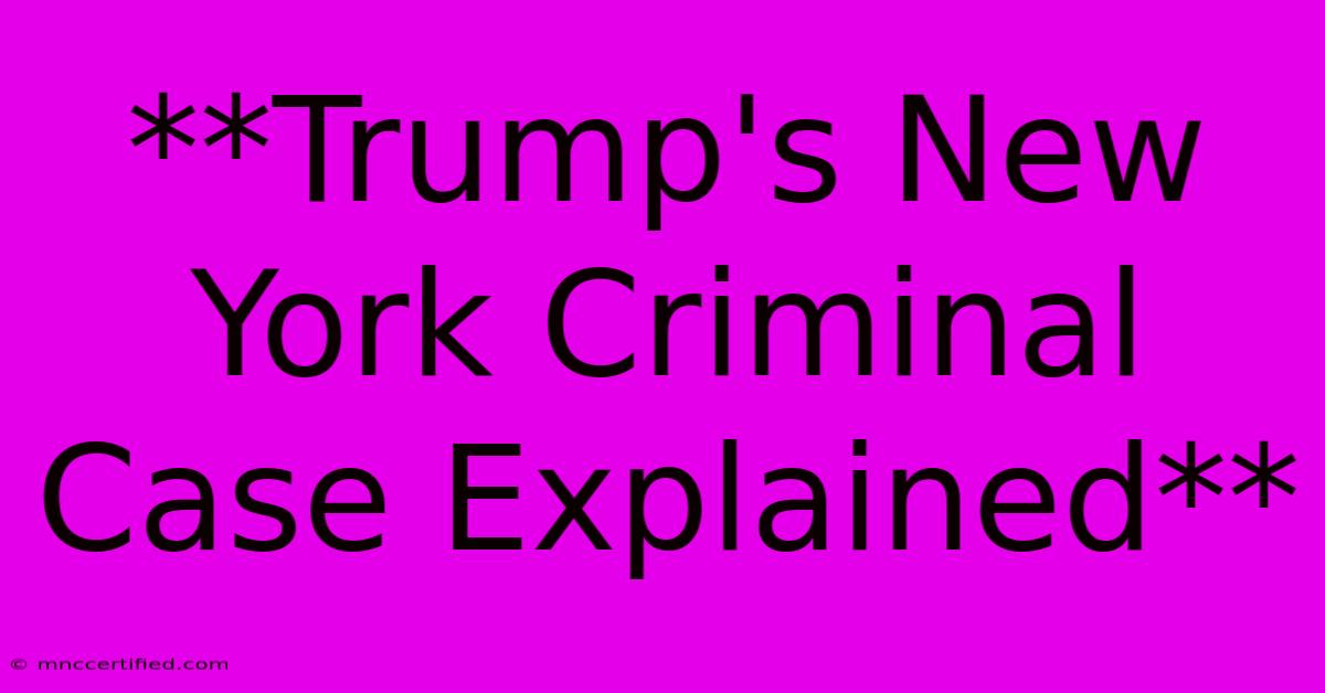 **Trump's New York Criminal Case Explained**