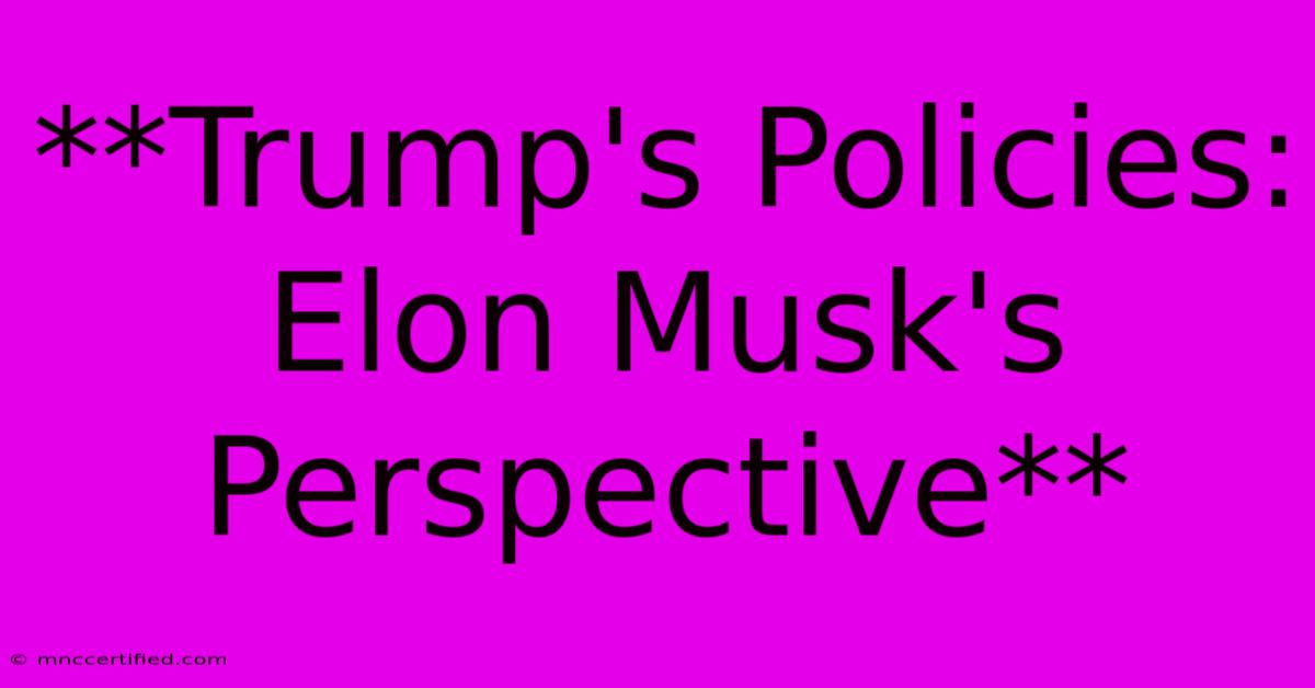 **Trump's Policies: Elon Musk's Perspective** 