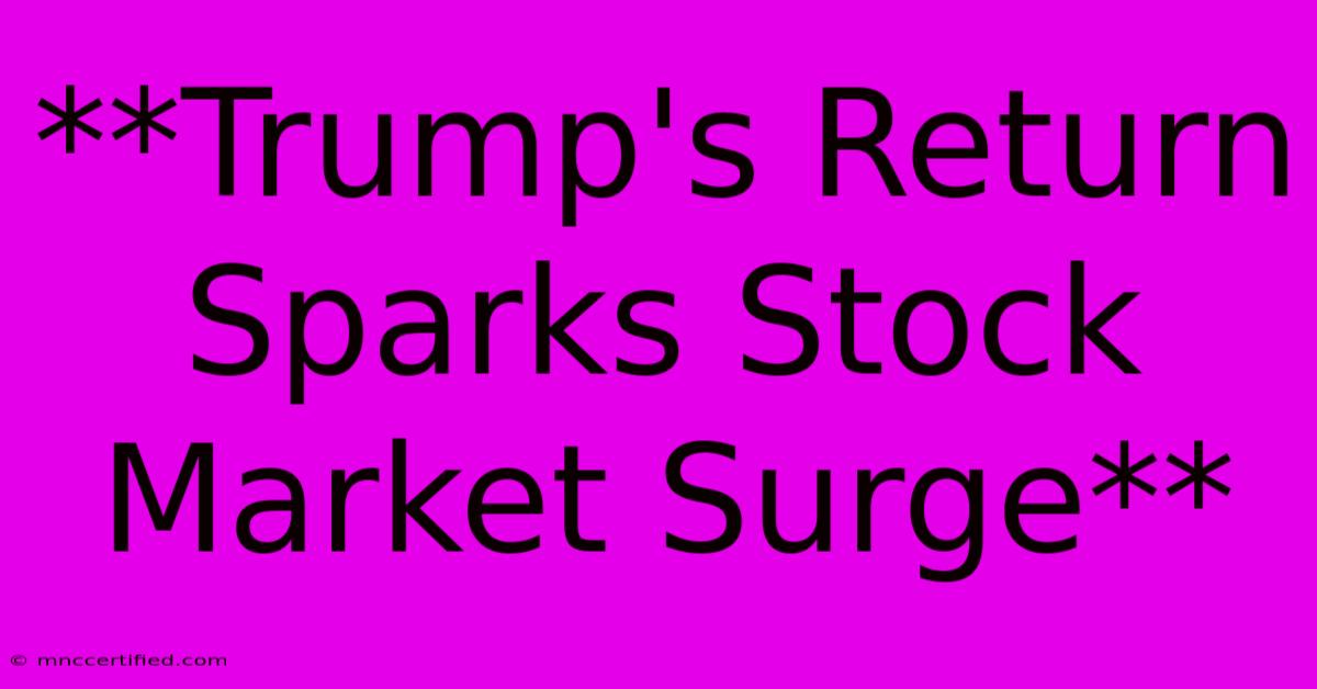 **Trump's Return Sparks Stock Market Surge**