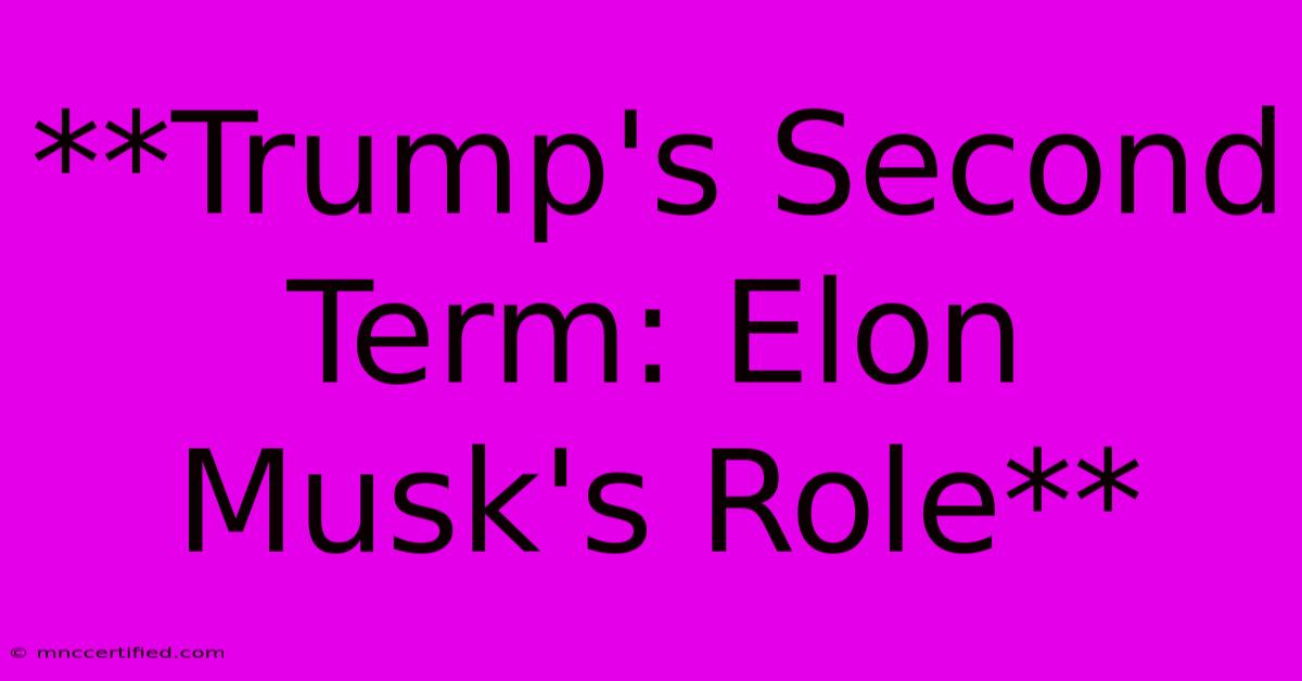 **Trump's Second Term: Elon Musk's Role**