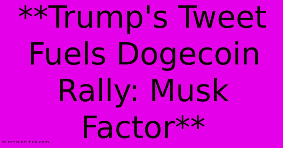 **Trump's Tweet Fuels Dogecoin Rally: Musk Factor**