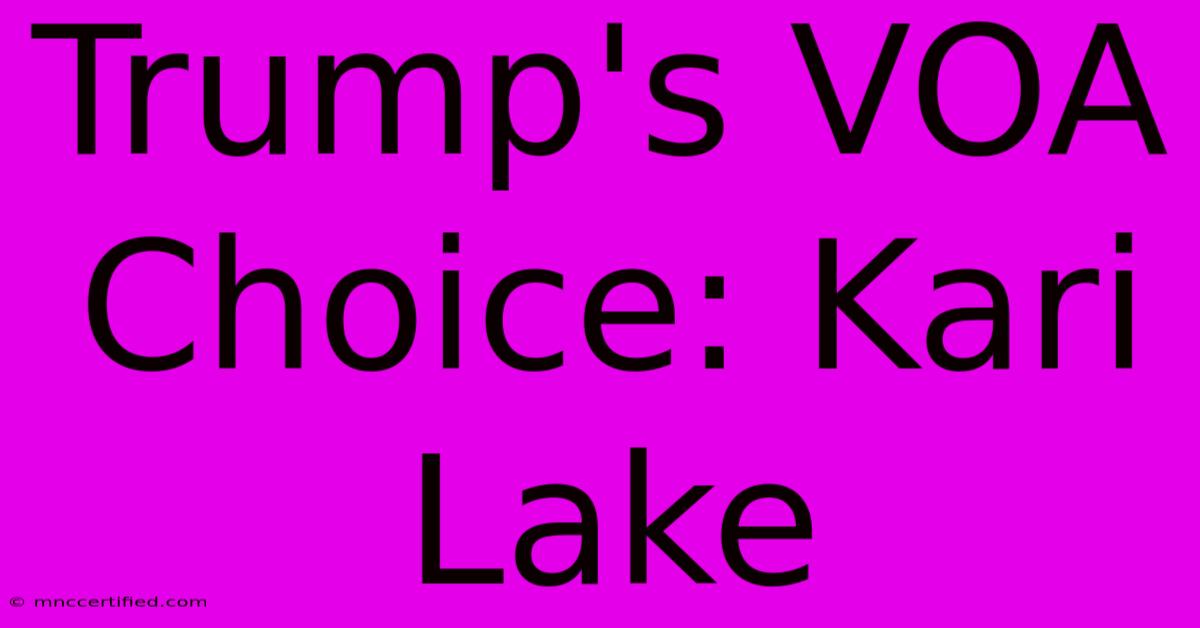 Trump's VOA Choice: Kari Lake