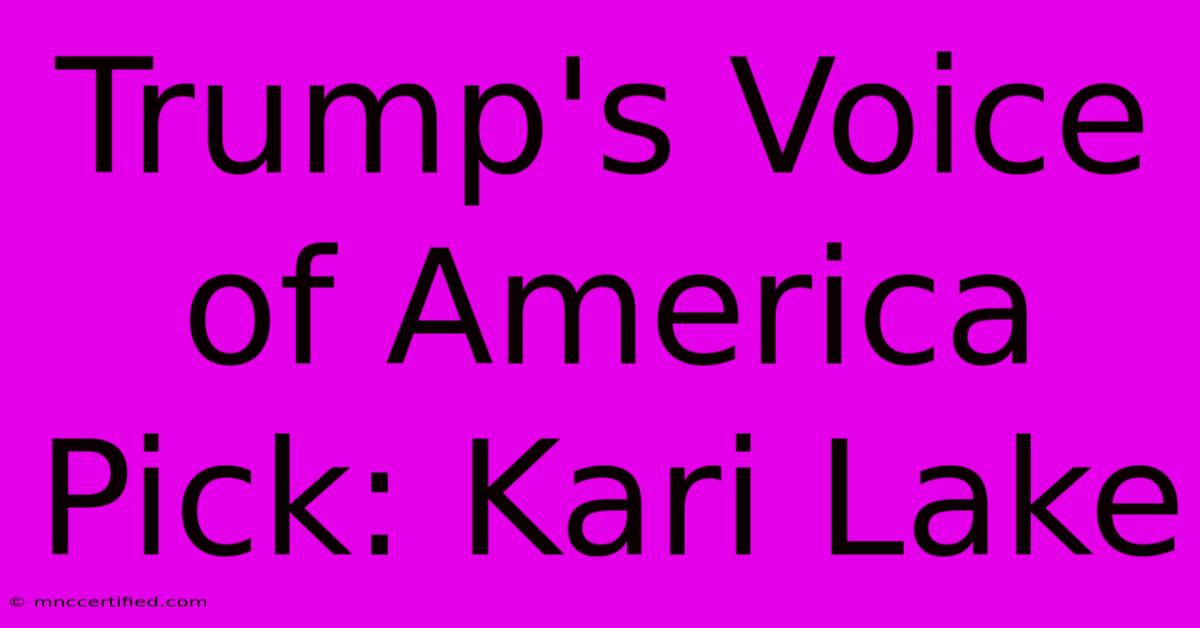 Trump's Voice Of America Pick: Kari Lake