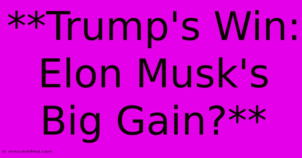 **Trump's Win: Elon Musk's Big Gain?**