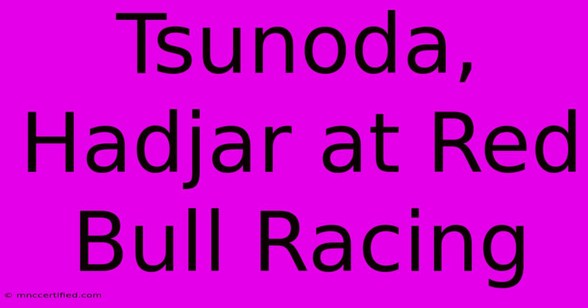 Tsunoda, Hadjar At Red Bull Racing