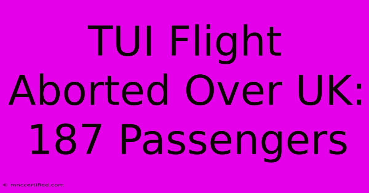 TUI Flight Aborted Over UK: 187 Passengers