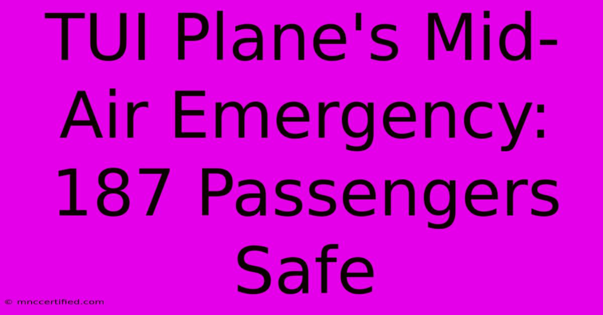 TUI Plane's Mid-Air Emergency: 187 Passengers Safe