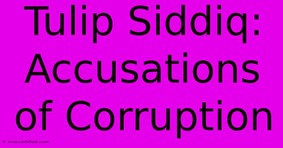 Tulip Siddiq: Accusations Of Corruption