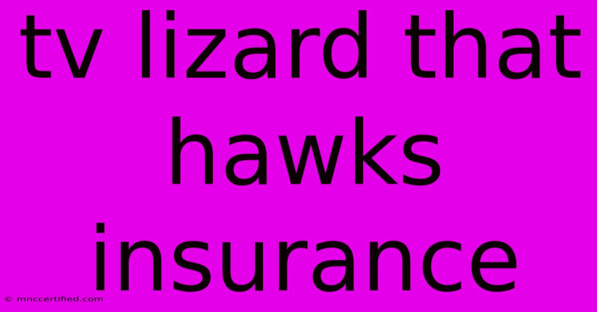 Tv Lizard That Hawks Insurance