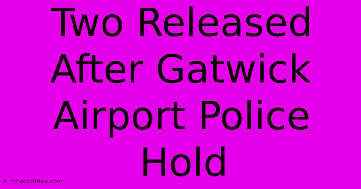 Two Released After Gatwick Airport Police Hold